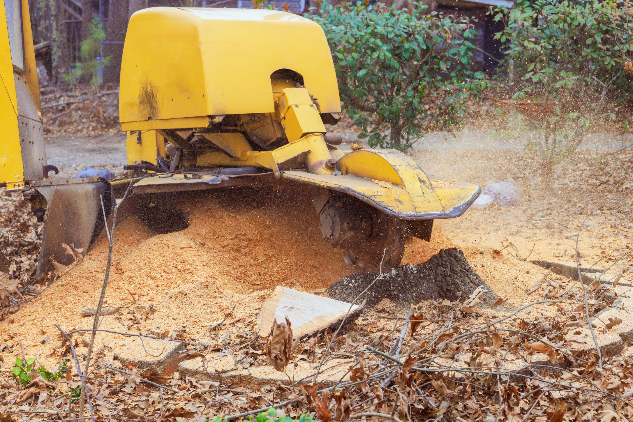 Stump Grinding Services Wakefield